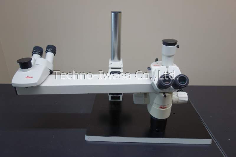 ��r���̌�����